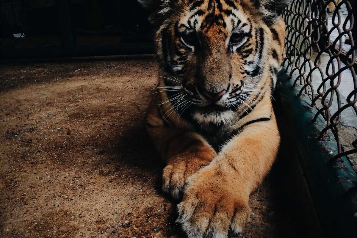 AI 컨설팅을 통해 고객과 소통하는 모습